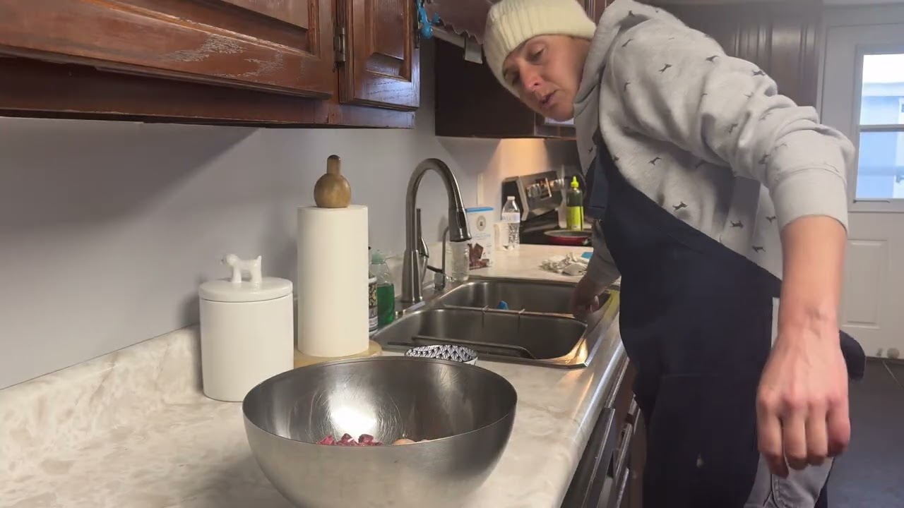 Homemade Cooked Dog Food | Beginner Tutorial 