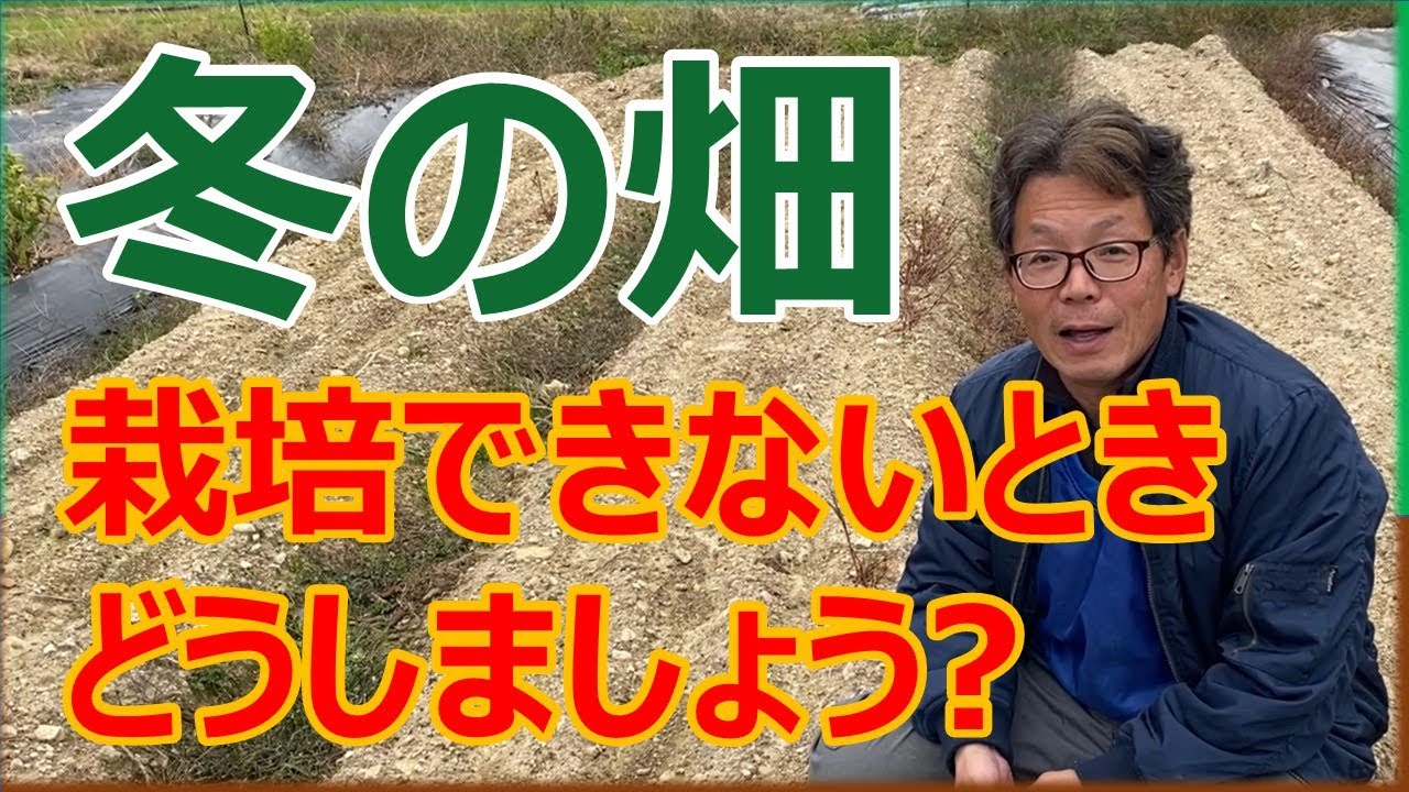 忙しくて農作業ができないとき、畑がほったらかしになるときの対処法　#土作り #家庭菜園