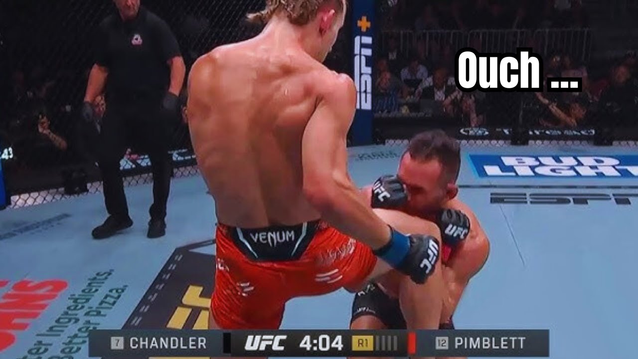 UFC 314 In A Nutshell