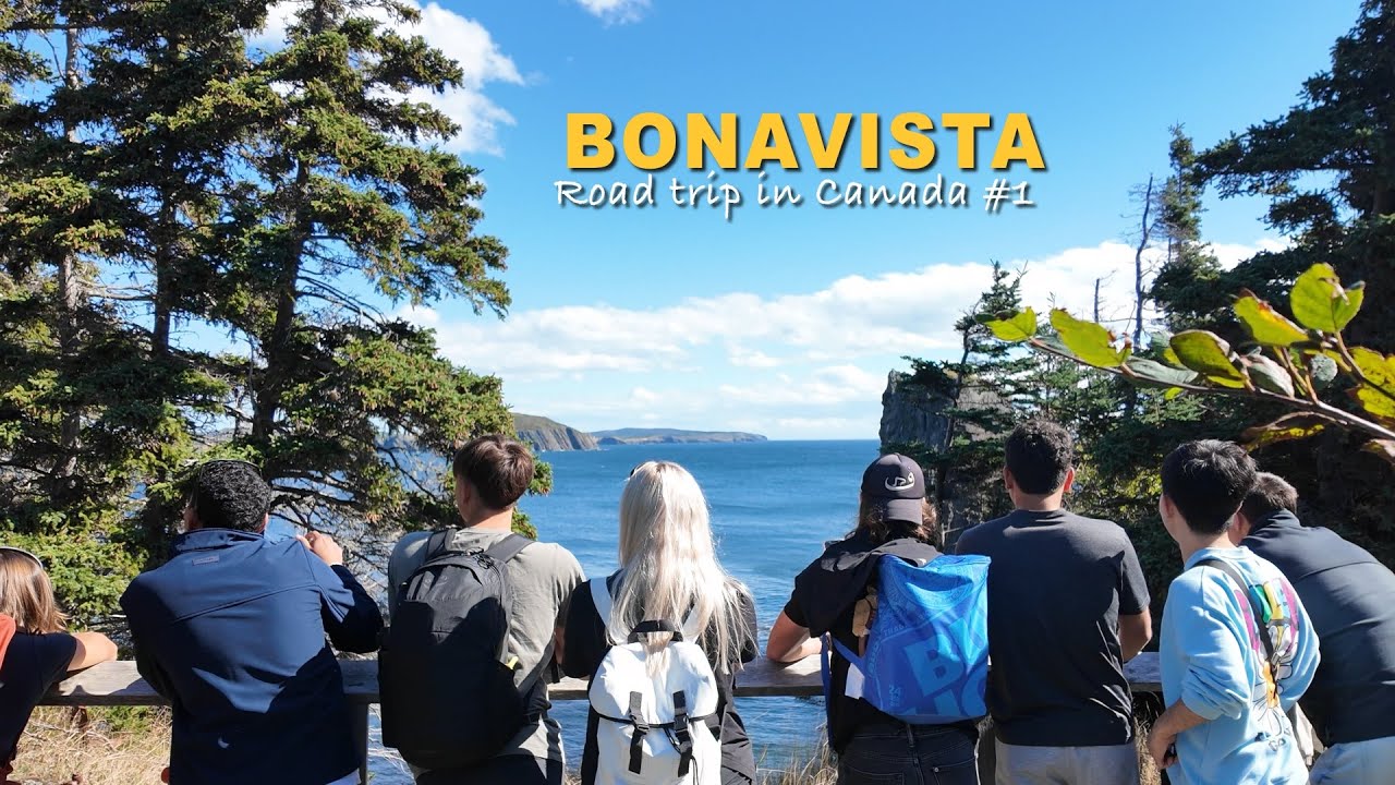 ROAD TRIP IN BONAVISTA