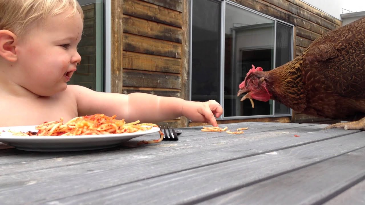 One minute of... Tate eating spaghetti outside