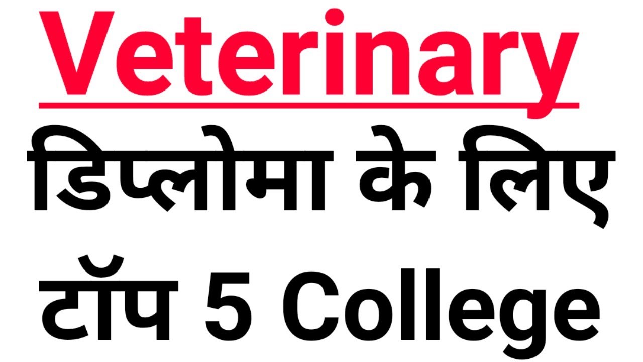 Top 5 Colleges for Veterinary Diploma