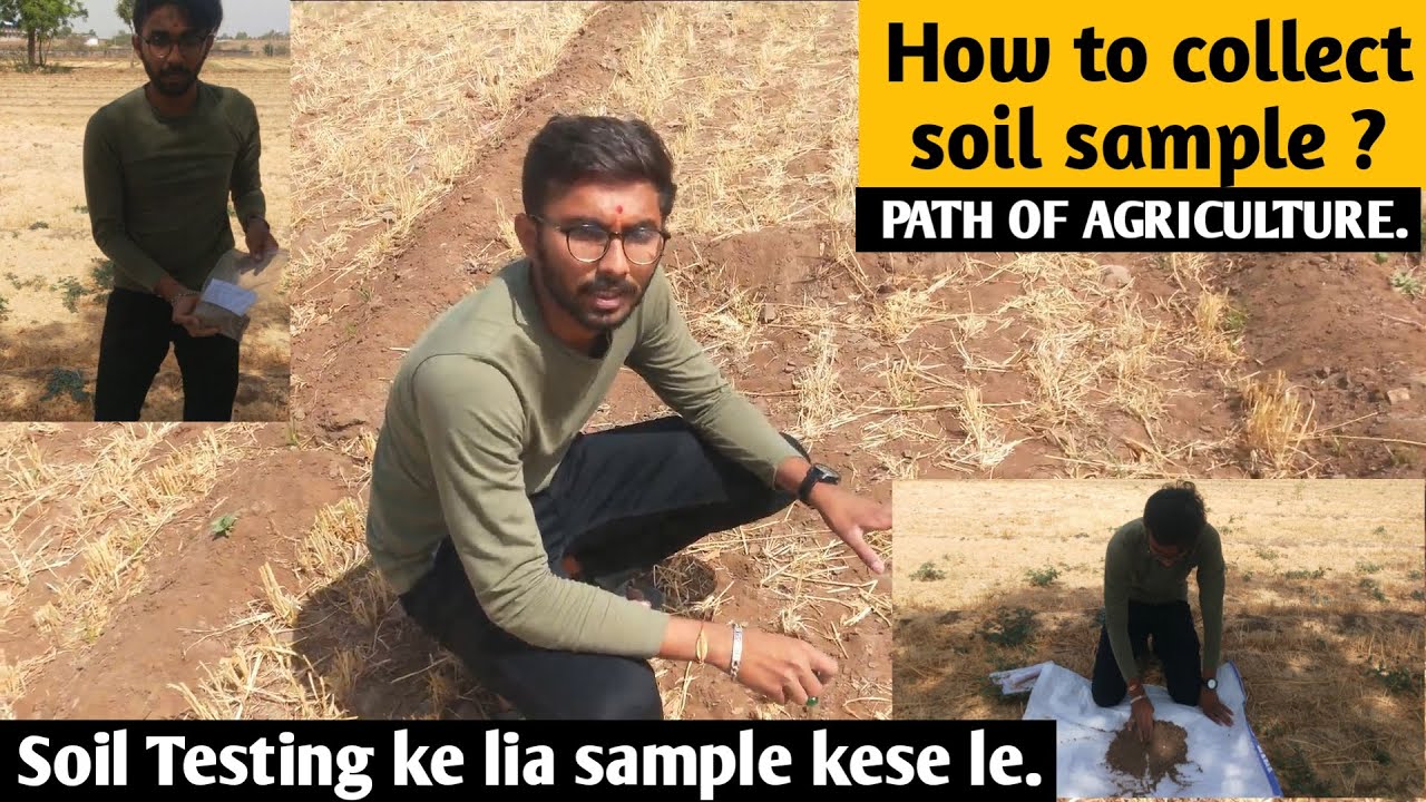 How To collect Soil Sample ? | Soil Testing For Agriculture | Soil Sampling And All Detail In Hindi.