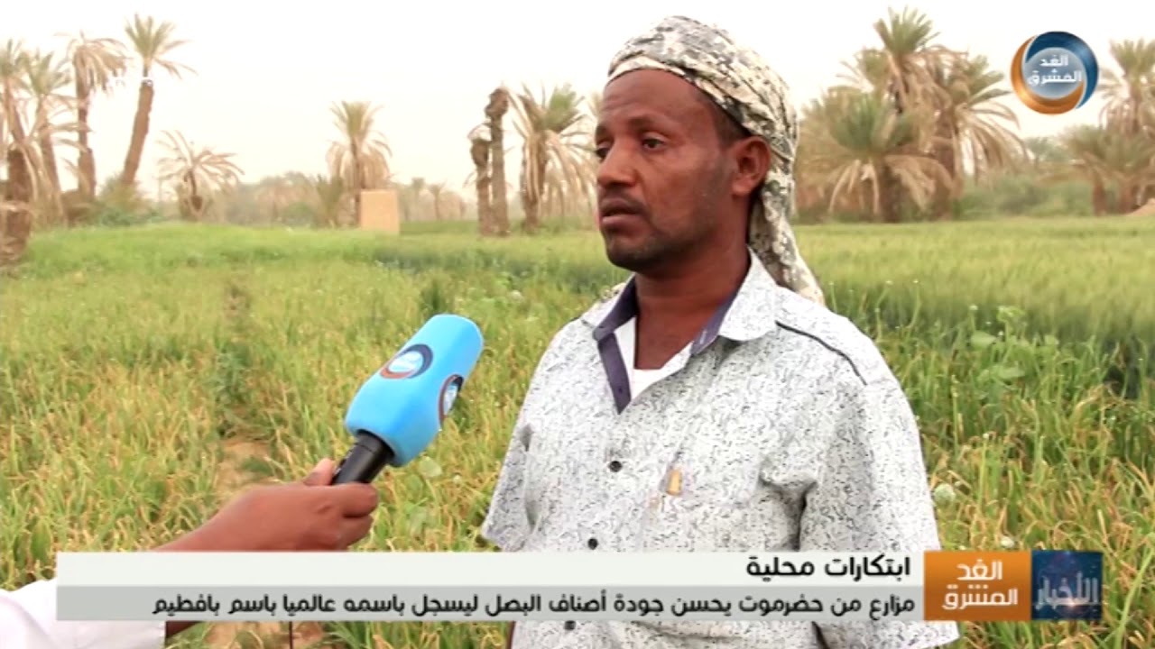 مزارع من حضرموت يحسن جودة أصناف البصل ليسجل عالميًا باسم بافطيم