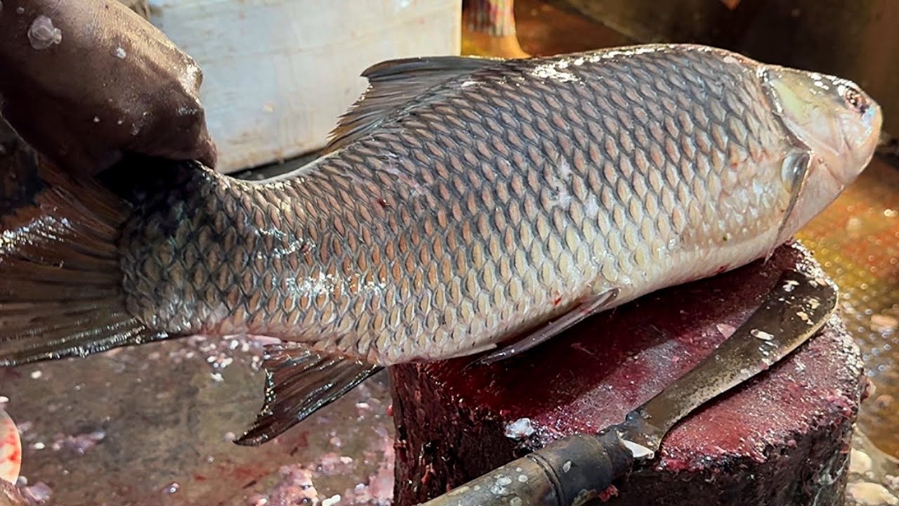 Amazing Giant Rohu Fish & Pomfret Cutting Skills Live In Fish Market | Fish Cutting Skills