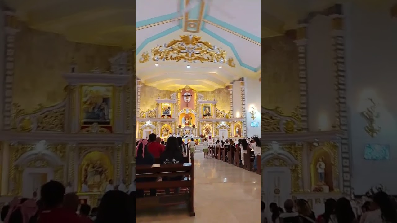 Vlog no, 50 For the third sunday of ordinary time