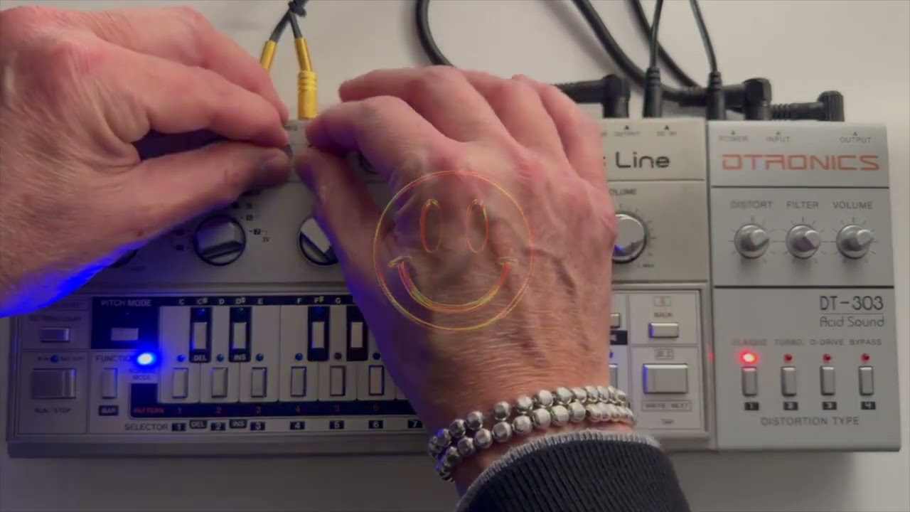 Roland TB-303 with DTRONICS DT-303