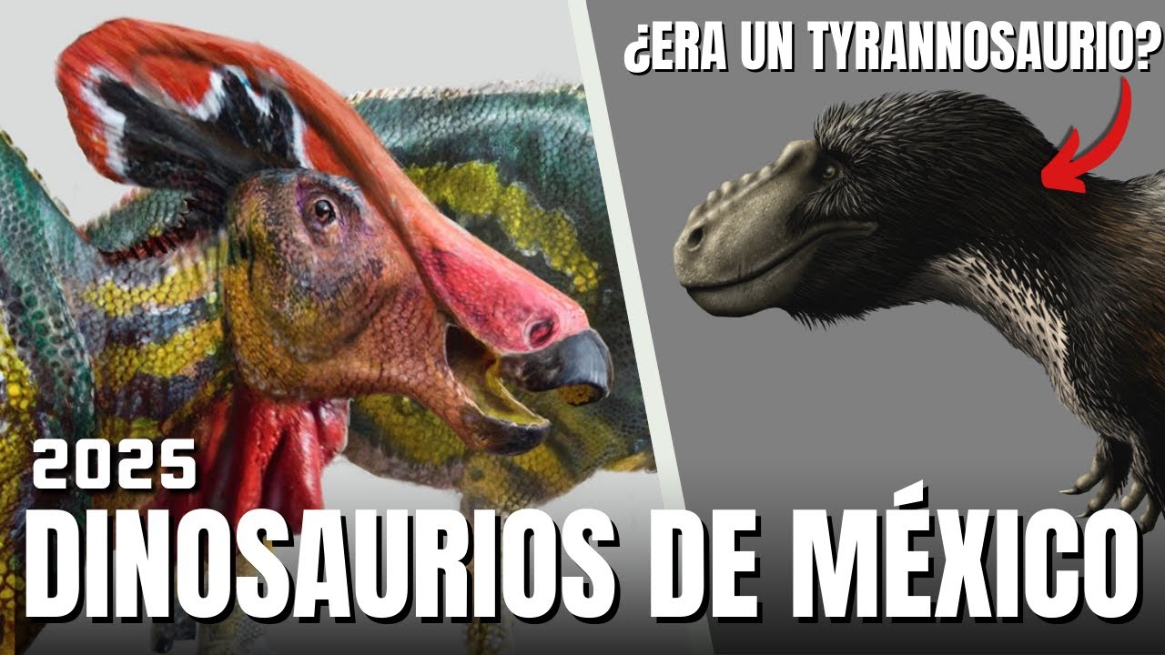 ¿Conoces a estos Dinosaurios de México? (Edición 2025)