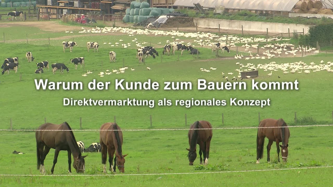 Warum der Kunde zum Bauern kommt. Direktvermarktung als regionales Konzept