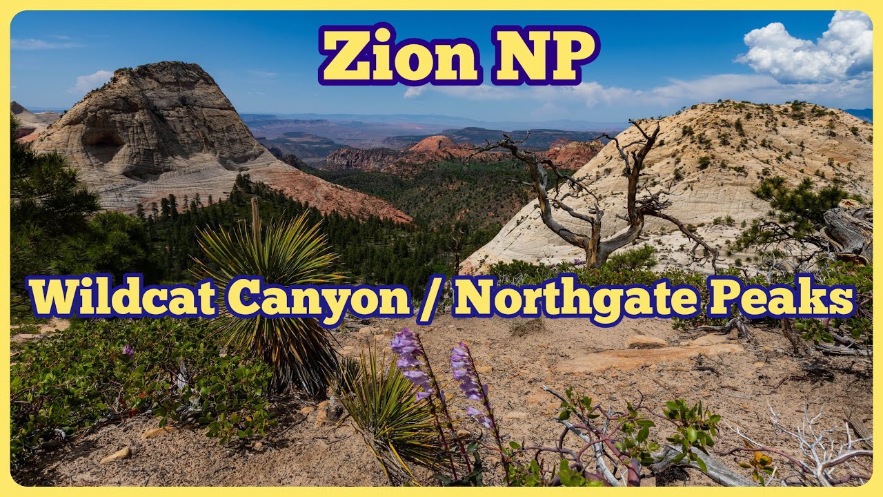 Zion NP: Wildcat Canyon Trail - Northgate Peaks