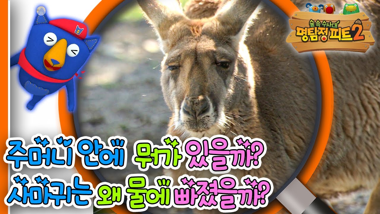 [EBS놀이터] 명탐정 피트2🔎｜주머니 안에 뭐가 있을까?｜사마귀는 왜 물에 빠졌을까?｜숲 속 수사대｜동물｜식물｜곤충｜애니메이션