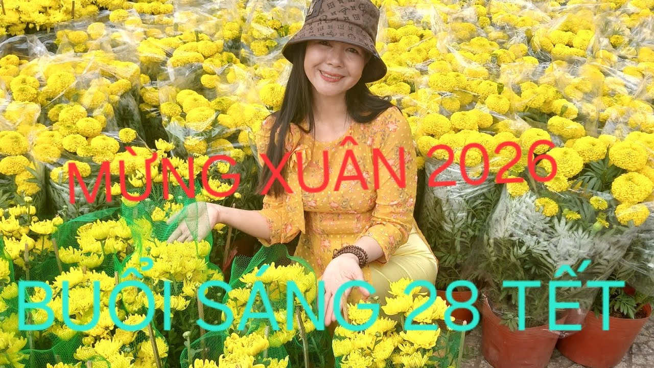 Mùa xuân đã đến khắp nhà