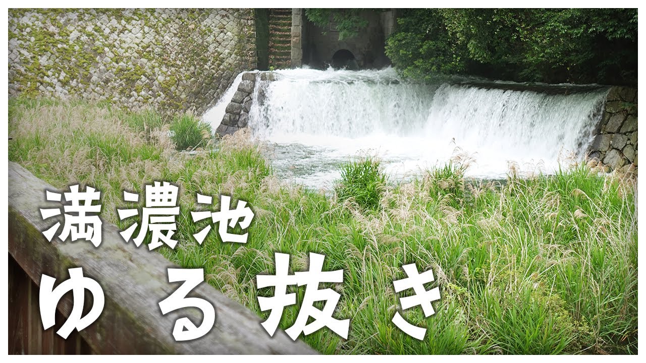 【初夏の風物詩】満濃池のゆる抜きをご紹介！