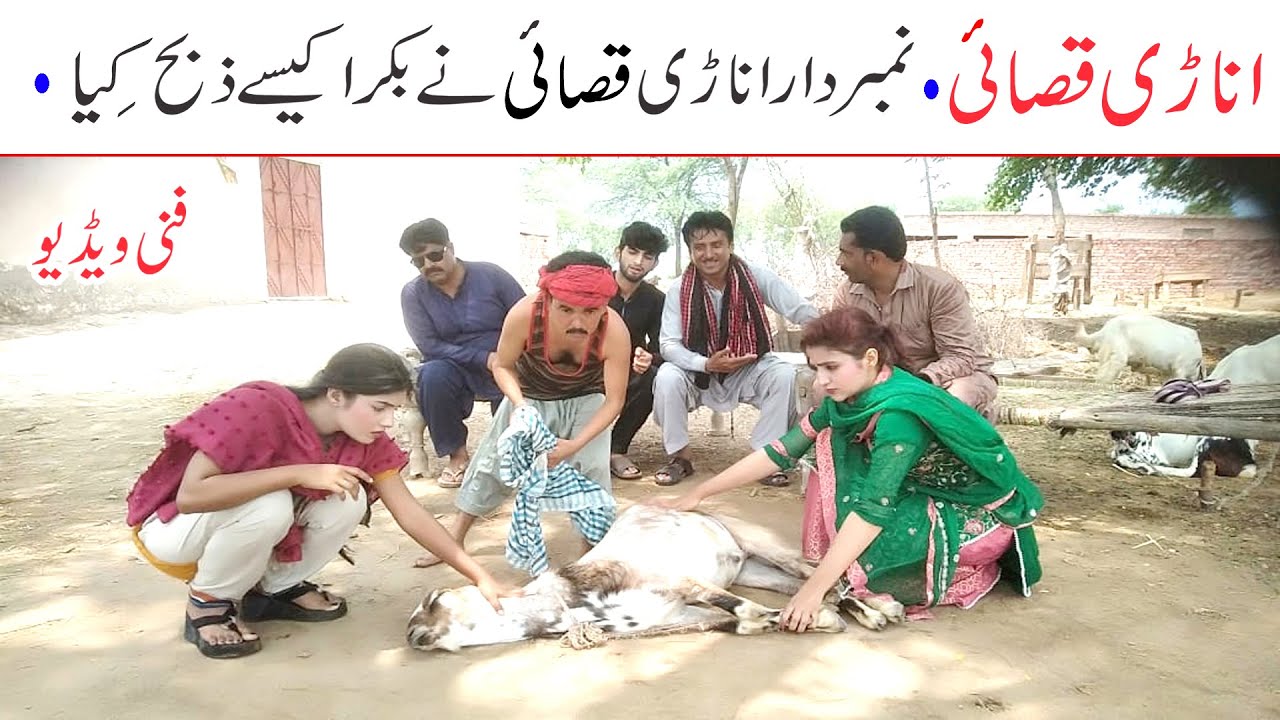Number Daar Anari Qasai Eid Funny Video | New Top Funny | Must Watch  New Comedy Video 2021|You Tv