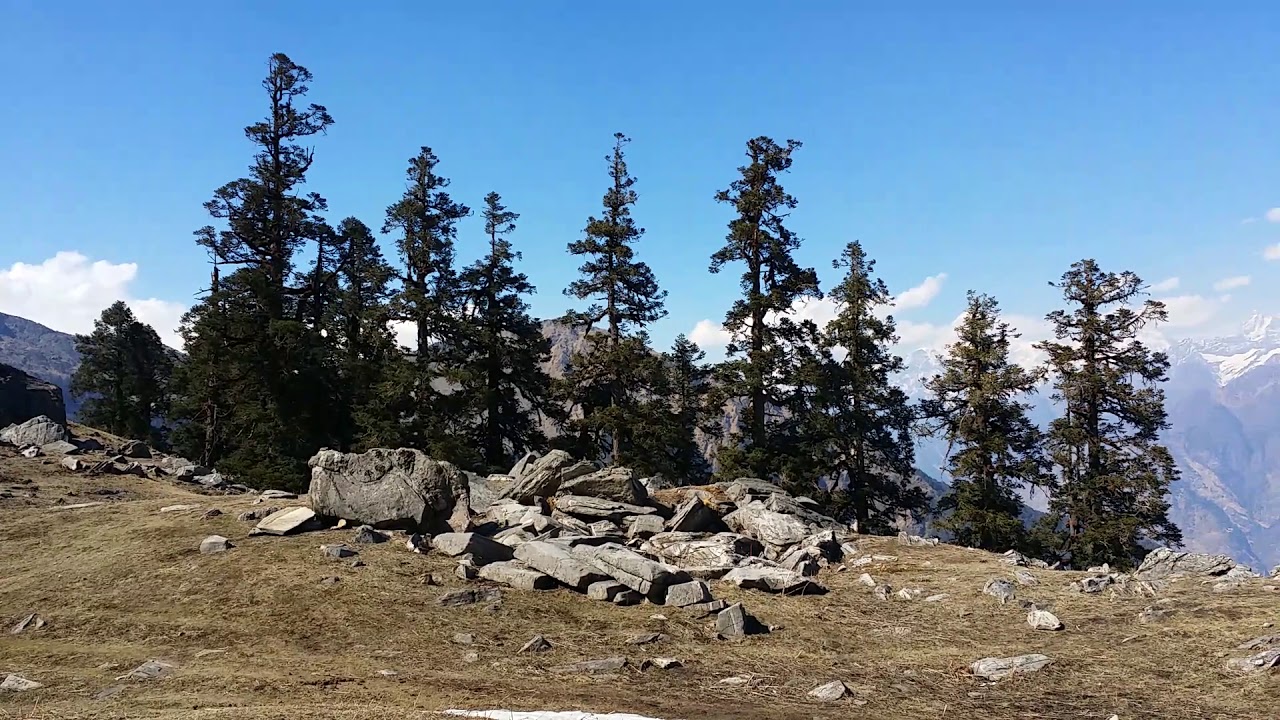 Beautiful Khullara camp site on Kuari Pass trek