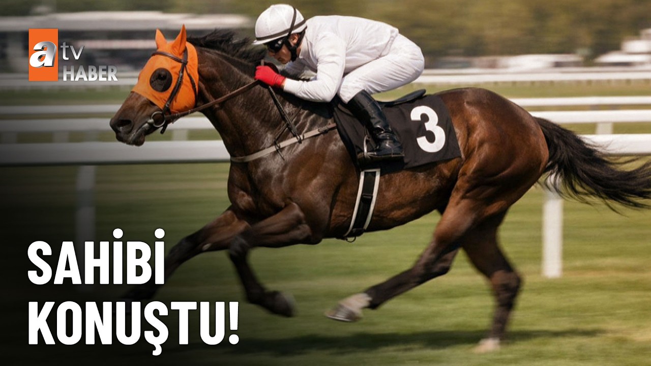 Şampiyon atı kavurma yaptılar - atv Ana Haber 14 Mart 2026