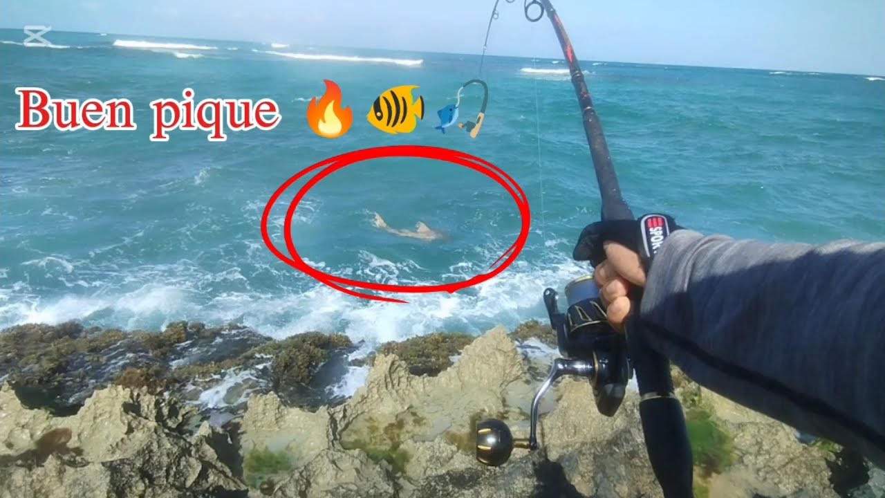 Buena PICADA desde la orilla y una TREMENDA pelea 🐠🎣🔥😱