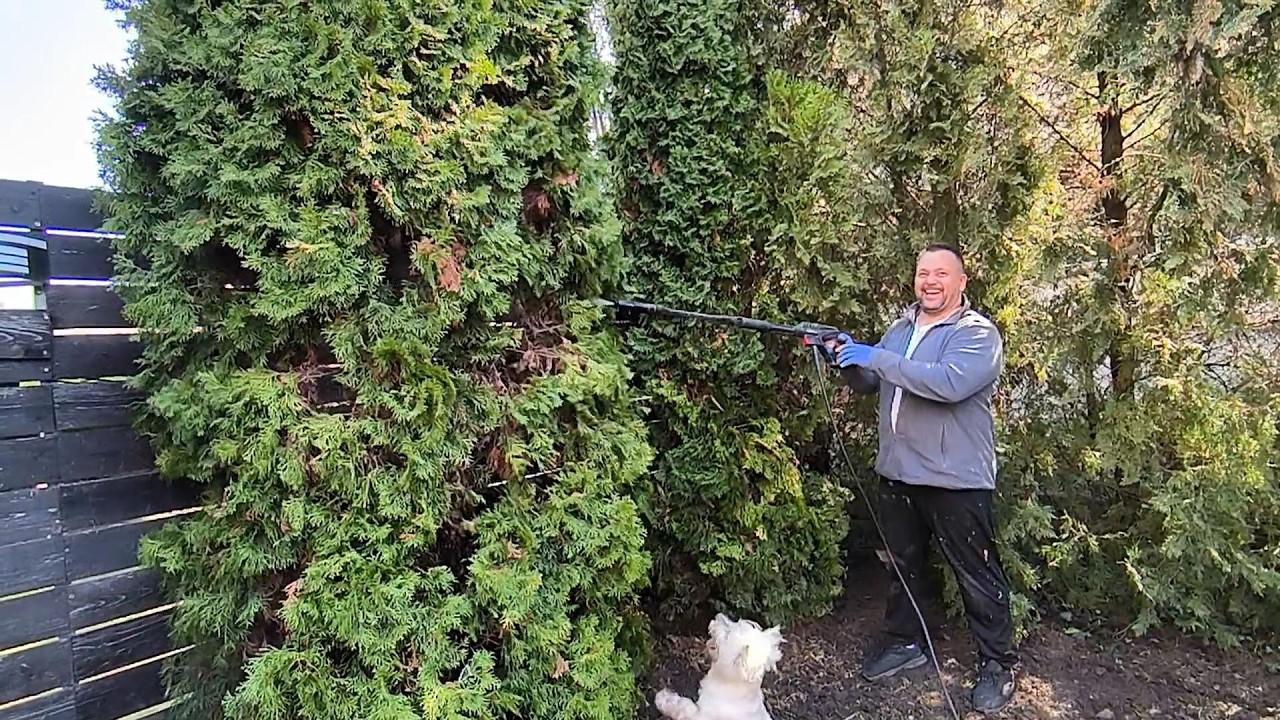 #vlog #жизньзаграницей БЕРЁМ и ДЕЛАЕМ. Жизнь в Сербии.