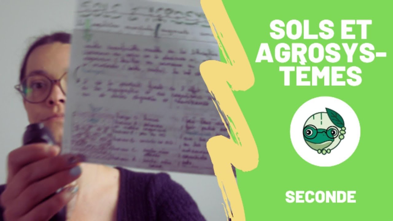 Sols et agrosystèmes - 2nde - Madame SVT