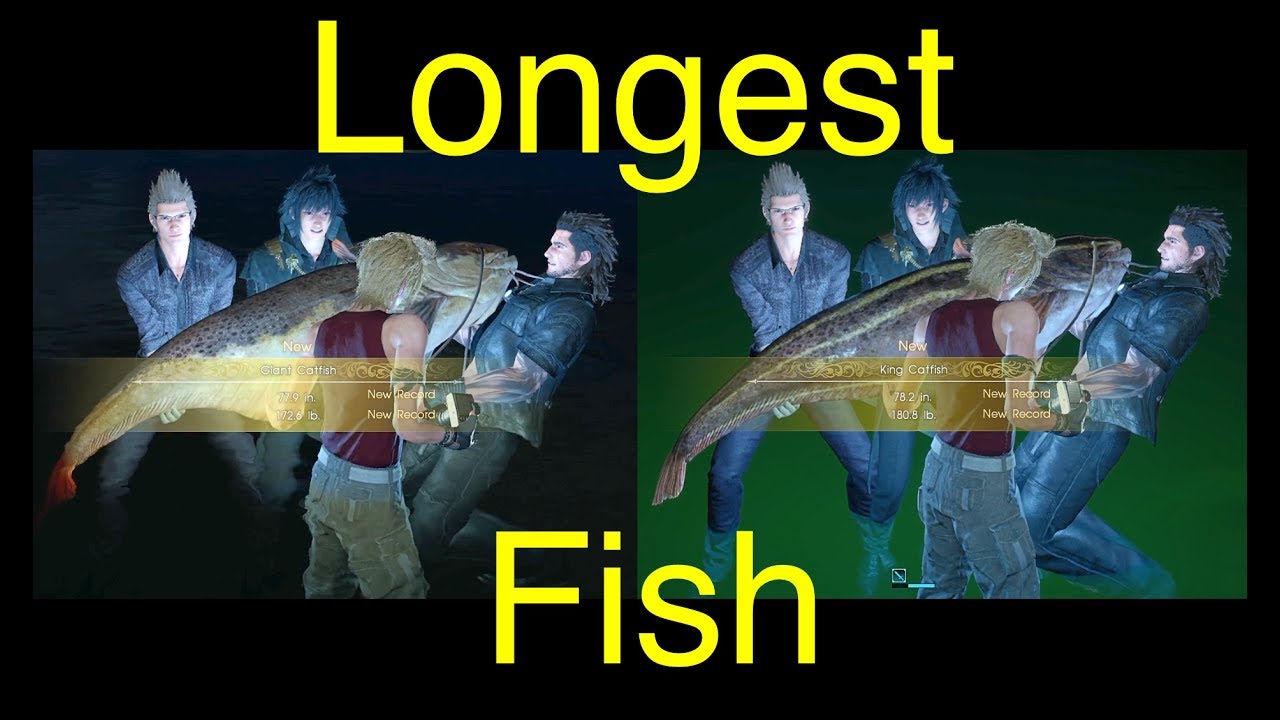 Final Fantasy XV: Longest Fish (King Catfish and Giant Catfish) FFXV