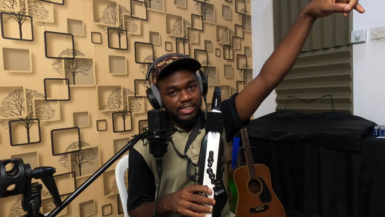 The Roland Aerophone AE20: An Honest Beginner's Guide