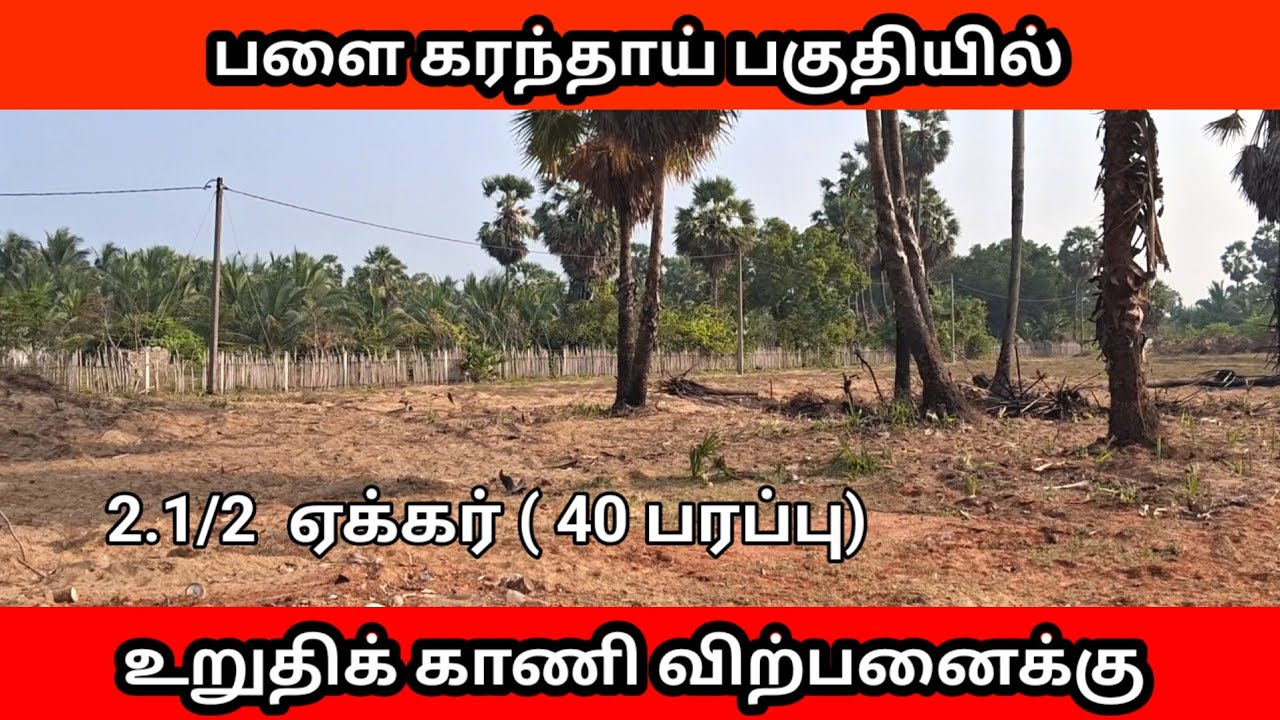 📍 பளை – கரந்தாய் பகுதியில்🌿 2 1/2 ஏக்கர் உறுதிக் காணி🏡 வீடு / பண்ணைக்கு  உகந்தது 💰 அவசர விற்பனைக்கு.