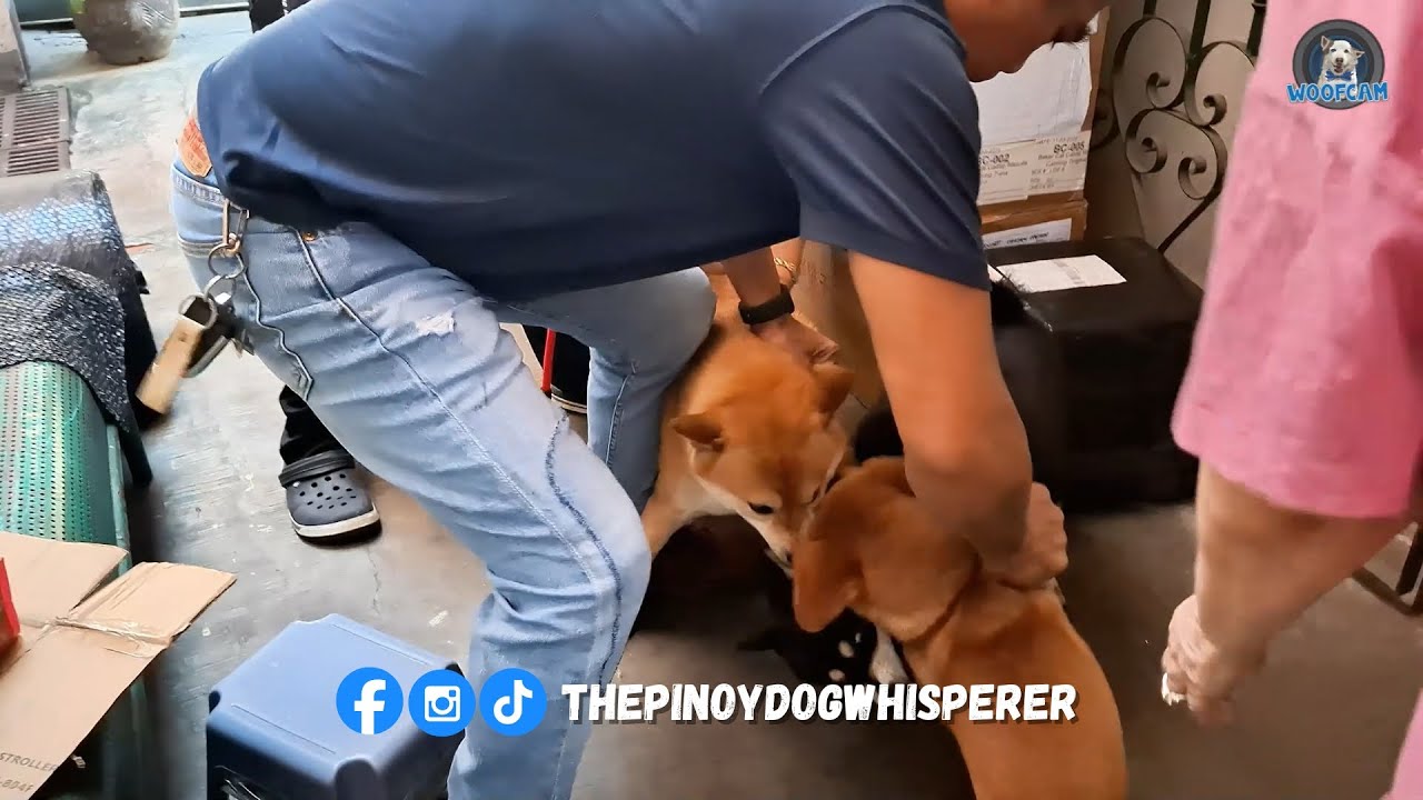 Kagatan: Ayaw Magpaawat
