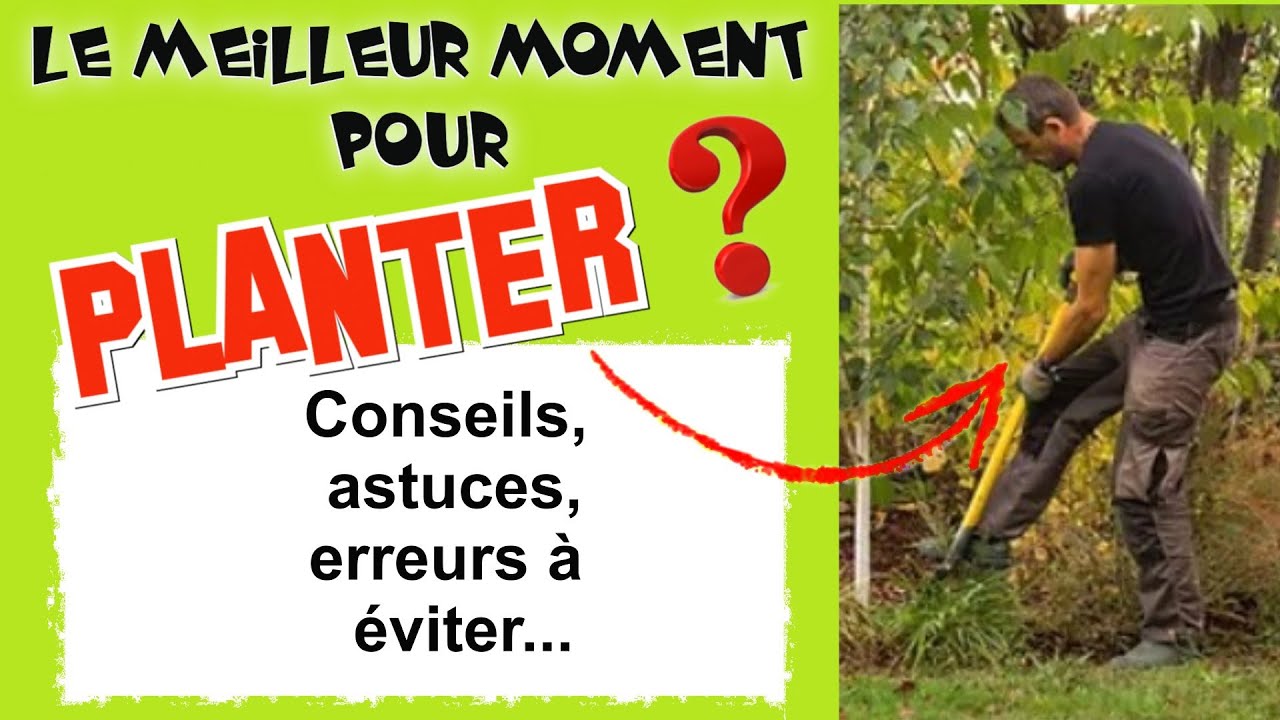 Quand planter ? Meilleure p&eacute;riode de plantation, conseils, astuces, erreurs &agrave; &eacute;viter, exemples...
