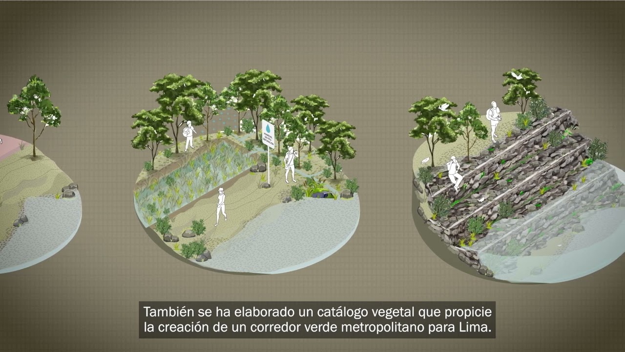 El Proyecto Especial Paisajístico Río Rímac sigue avanzando