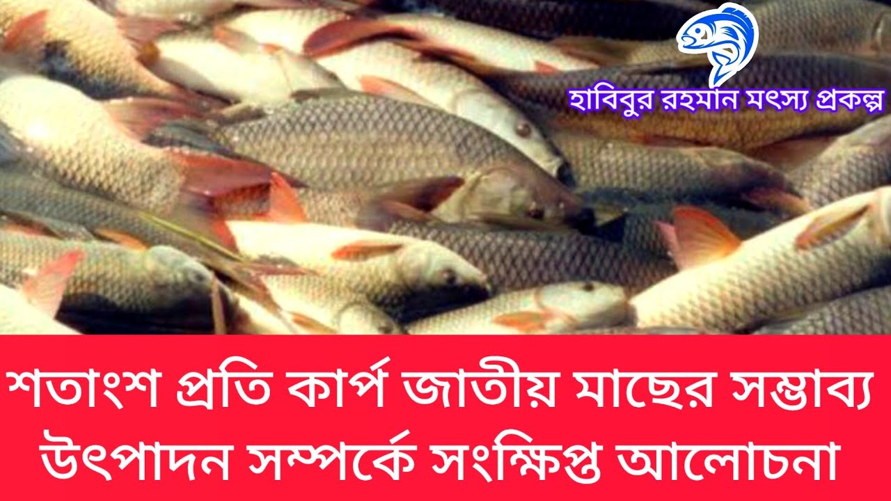 ১৯৫..শতাংশ প্রতি কার্প জাতীয় মাছের সম্ভাব্য উৎপাদন সম্পর্কে সংক্ষিপ্ত আলোচনা।