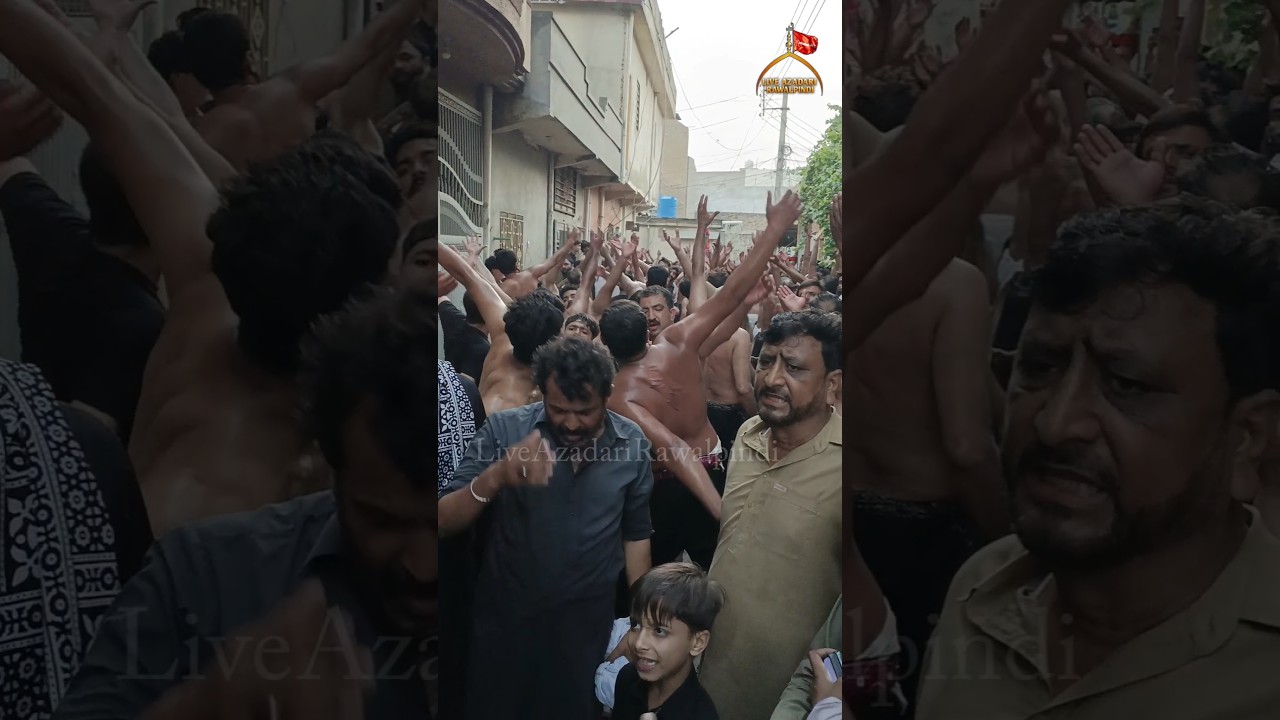 Qari Party New Kalam 2024 | Noha Shahzada Ali Akbar As | Nohay Muharram 2024 /1446