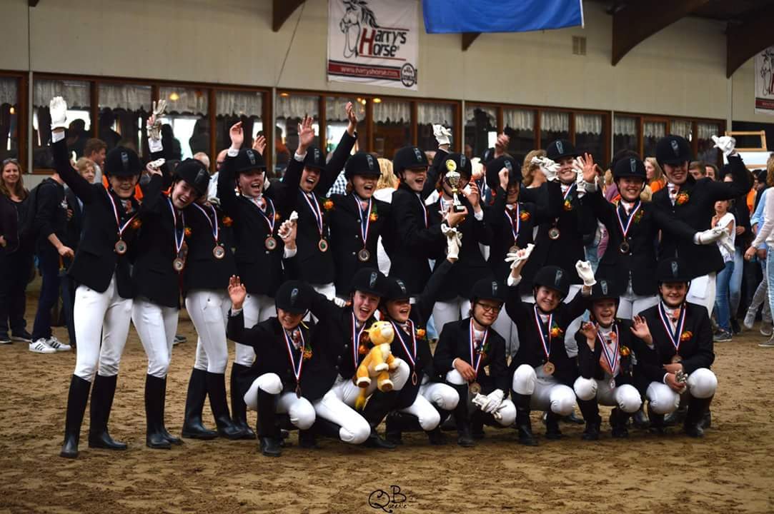 Manoeuvre De Larense ponycarrousel
