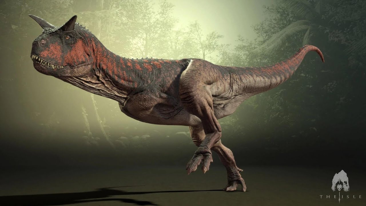 Gameplay de carno e dando uma olhada em algumas coisas 