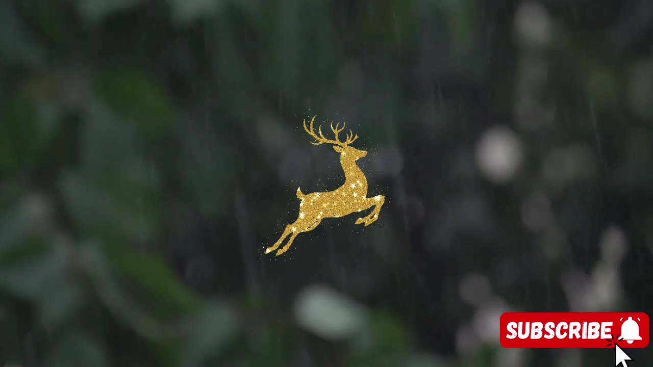Rain at Christmas