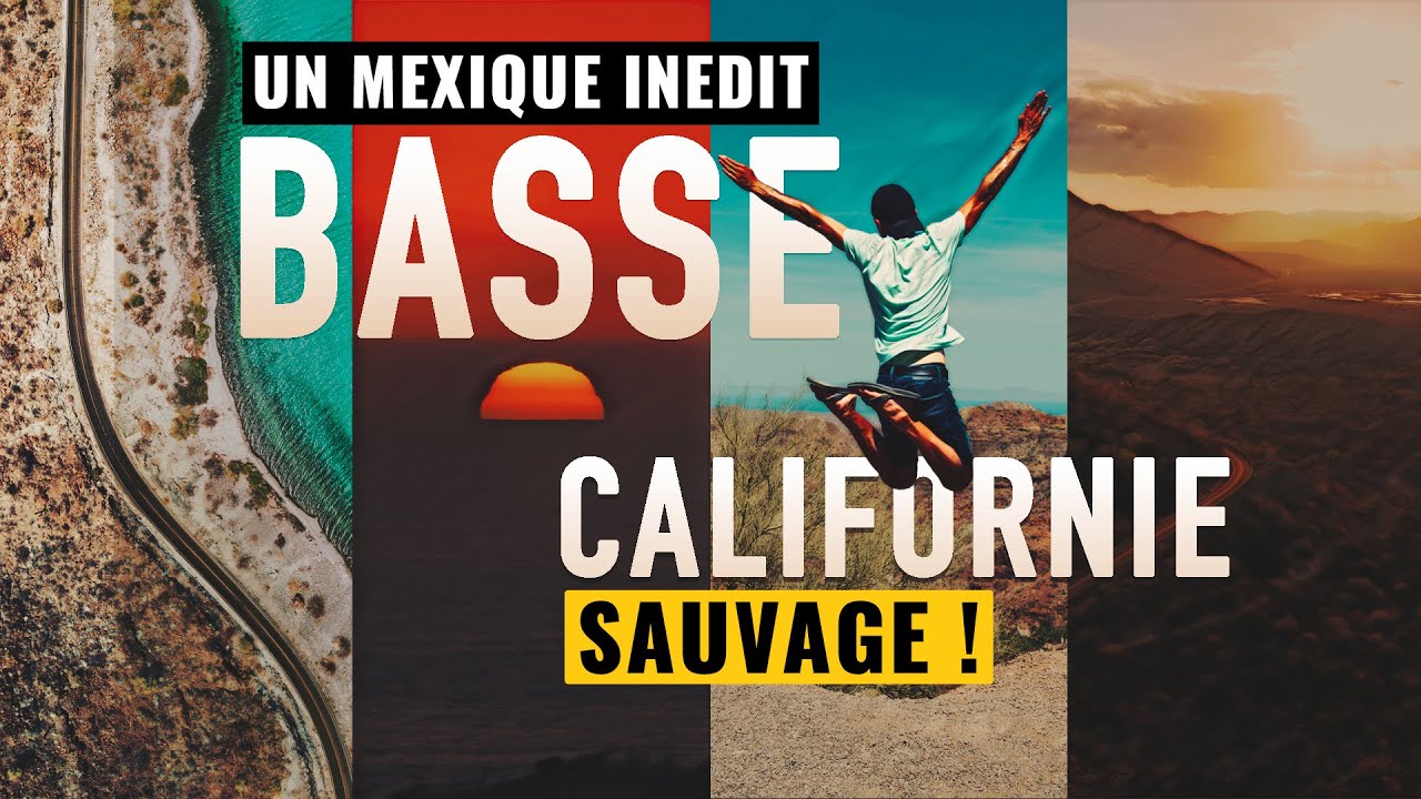 Seul au Mexique : Ce que j’ai découvert en 18 jours de Road Trip en Basse-Californie 🌵