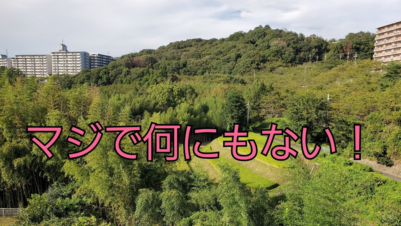 あつまれ！しゃくねつの森　河内長野市美加の台を探訪