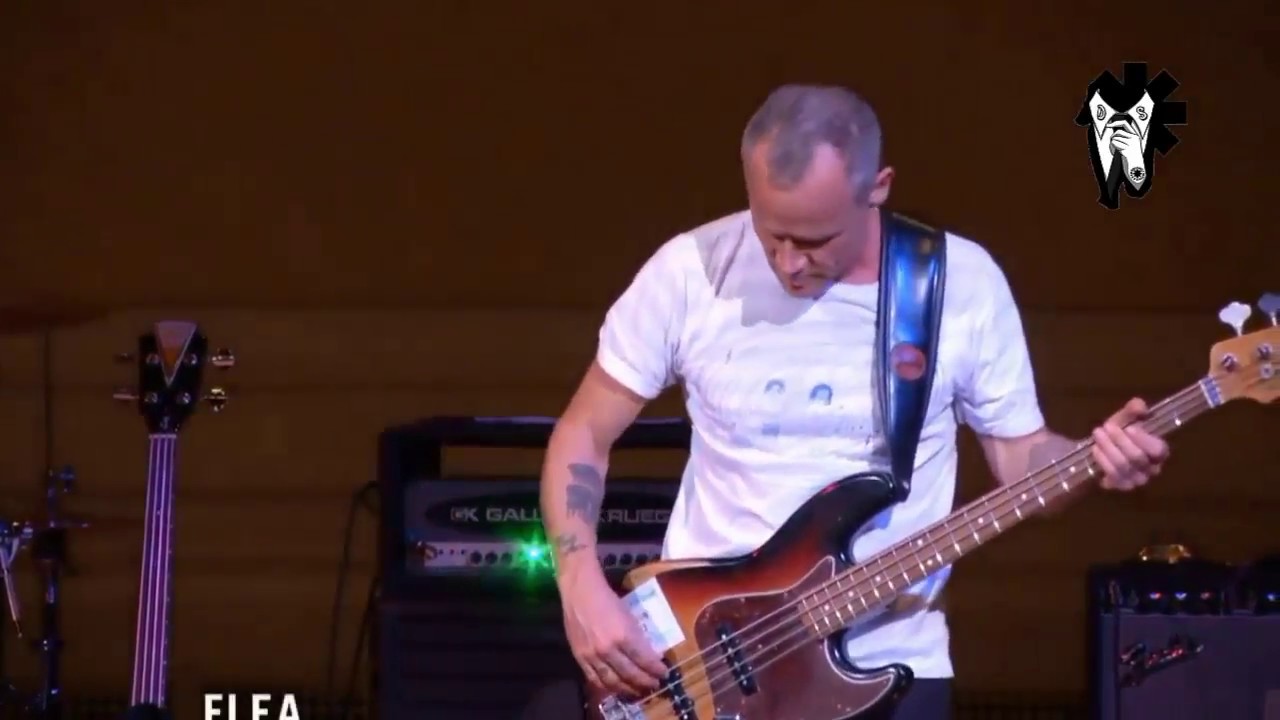 Flea - The Best Solo