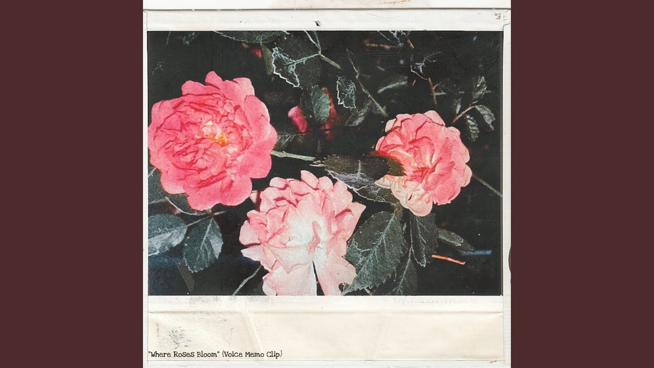 Where Roses Bloom (Voice Memo Clip)