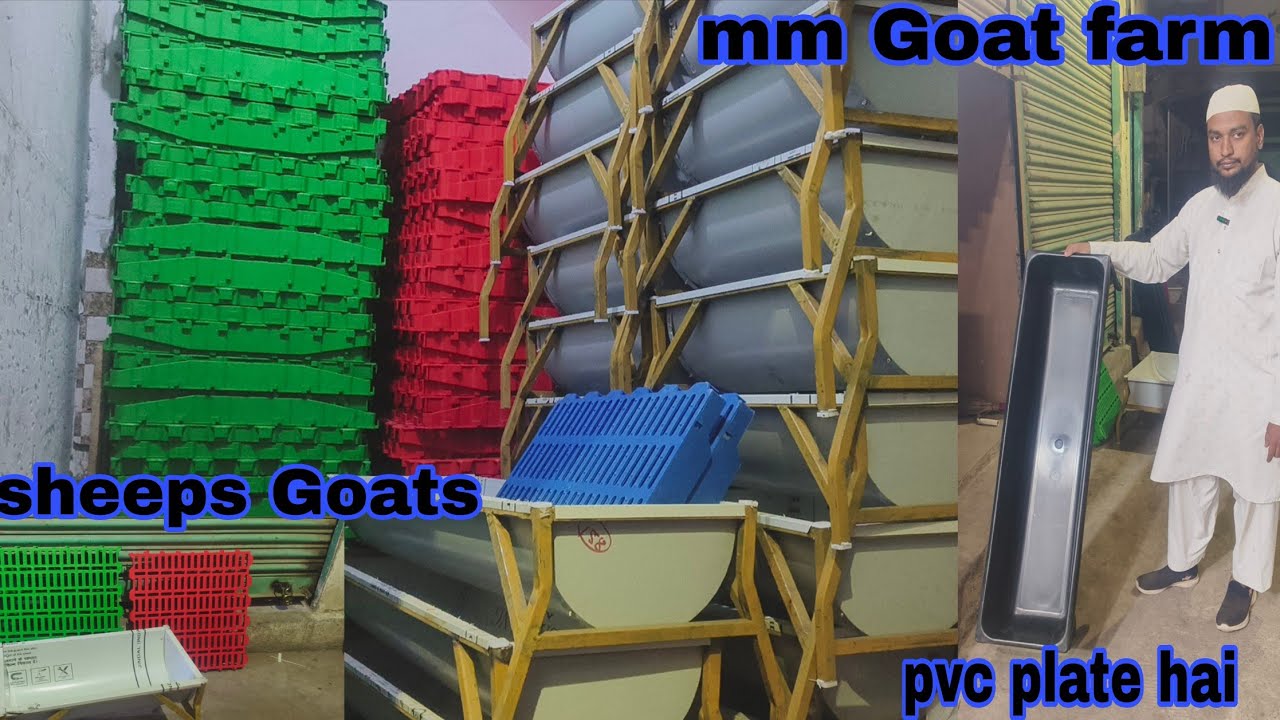 MM Goat farm per plate fiter hai available pvc ke plate hai available in Hyderabad 