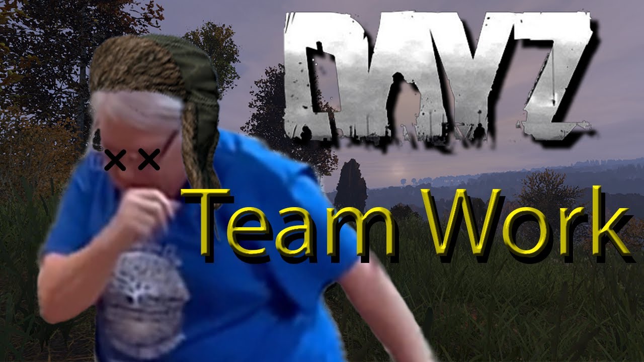 DayZ TeamWork