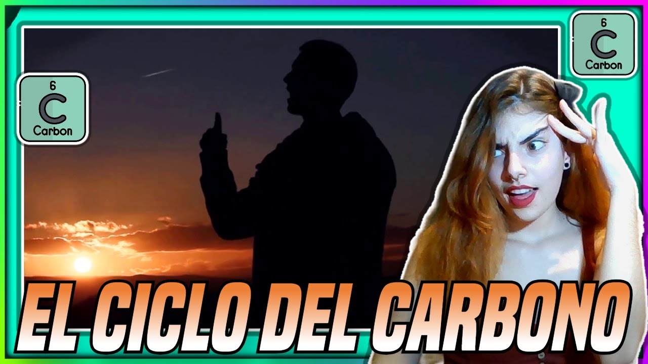 REACCIÓN a 🪨EL CICLO DEL CARBONO🪨 de OZELOT (Dimensiones y cuerdas III)