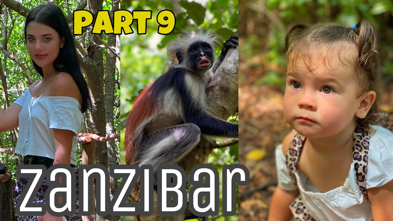 ДЖОЗАНИ ФОРЕСТ: что скрывают джунгли Занзибара? Мангровый лес | Zanzibar, Jozani Forest