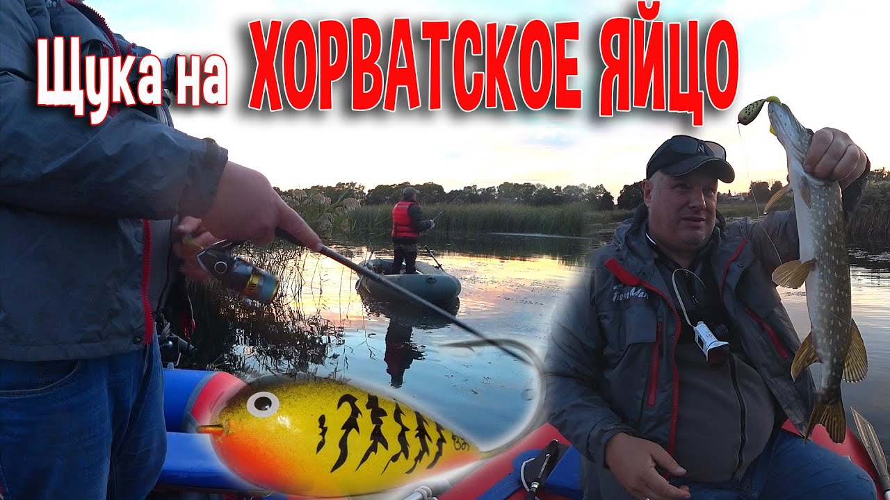Щуки на Хорватское яйцо
