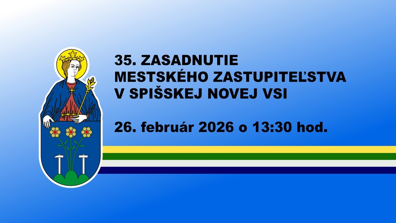 Mestské zastupiteľstvo SNV