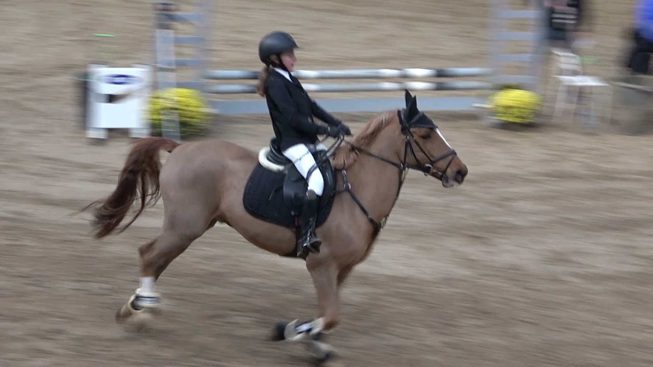 2021 11 21 Concours Hivernaux Flémalle GabrielE Lobby 70cm