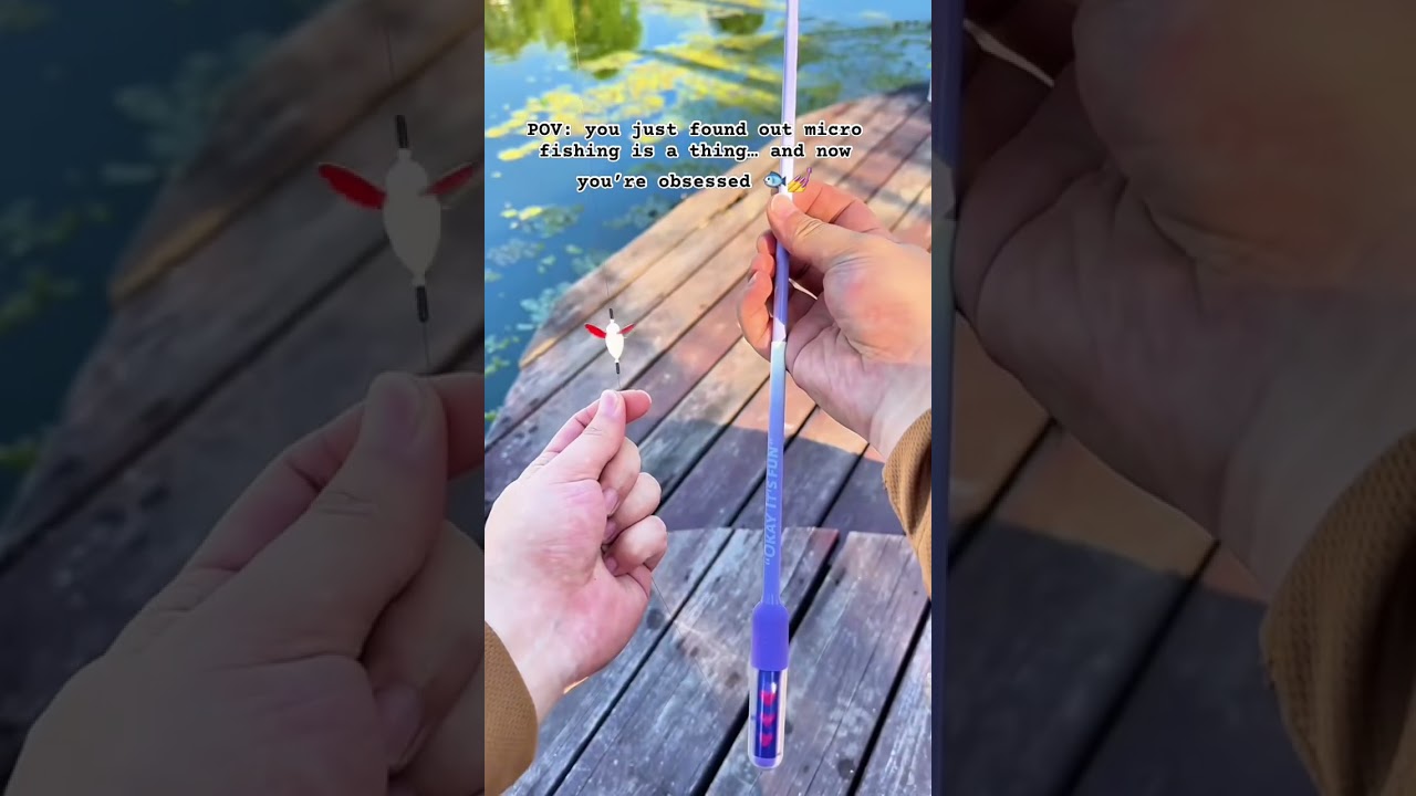 Summer hobby unlocked🔓Small rod, big joy. Highly recommend.#summerfishing  #microfishing #tanago