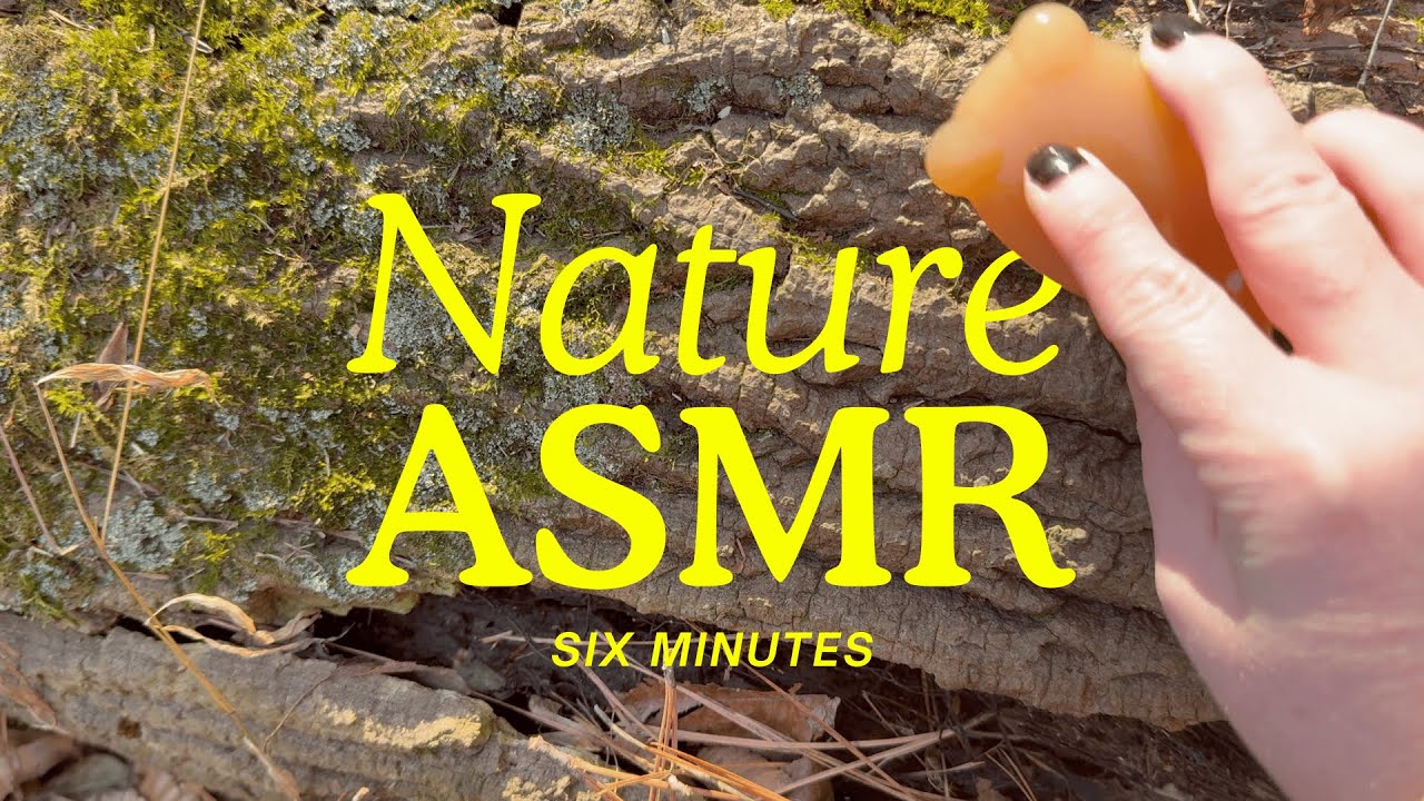 Nature Sounds ASMR / 6 Minutes of Tingles