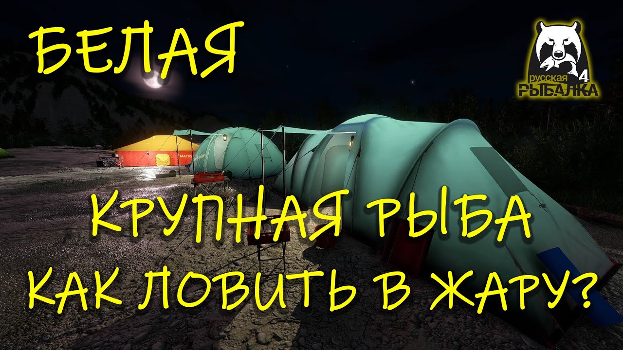 Русская рыбалка 4. рр4. Белая. Как ловить крупную рыбу в жару?