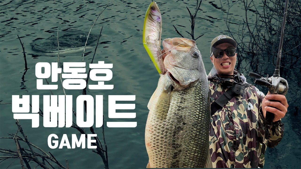 안동호 빅베이트! 오직 한방을 위해서! 배스낚시 [with 신현민]