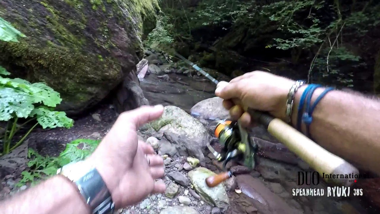 Wild trout stream, duo ryuki s